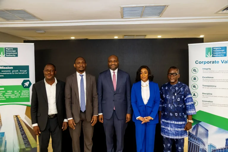 NSIA AUDITED FINANCIALS_2024